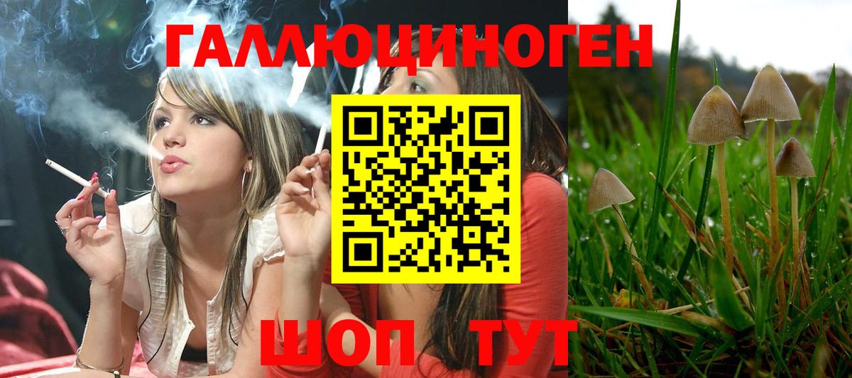 Лабинск  Галлюциногенные грибы мухоморы  Вход с VPN 
