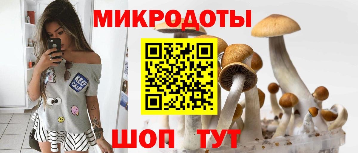 Псилоцибиновые грибы мицелий Лабинск